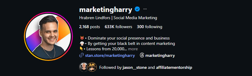 Optimized Instagram bio example — marketingharry 633K followers, clear niche, keyword-rich social media marketing profile