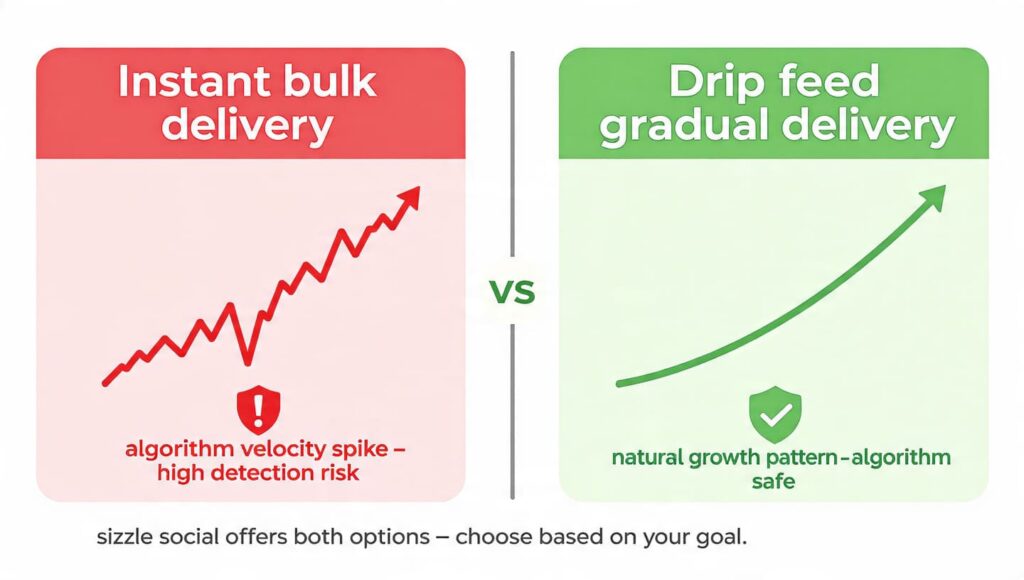 Infographic comparing drip feed gradual follower delivery and instant bulk delivery on Instagram SMM panels in Nigeria, showing how drip feed delivery reduces algorithm detection risk and mimics natural organic growth patterns