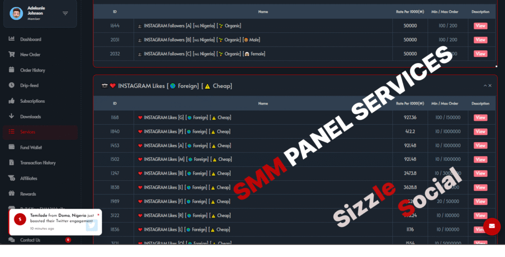 SMM panel all social media services page listing Instagram followers and likes packages with pricing