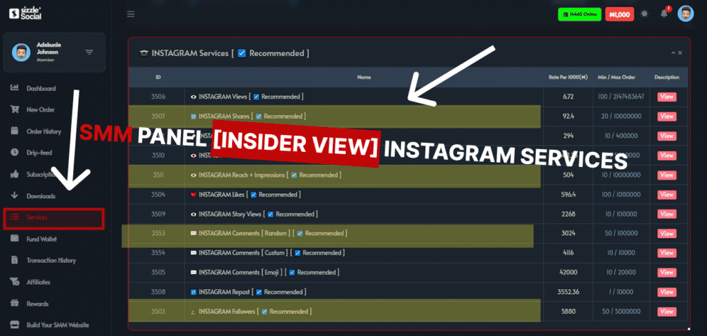 Sizzle Social SMM panel insider view showing recommended Instagram services list with pricing rates