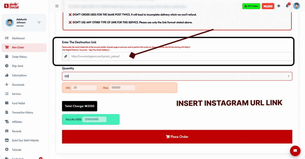 Sizzle Social order form showing destination link field with Instagram URL entry and place order button