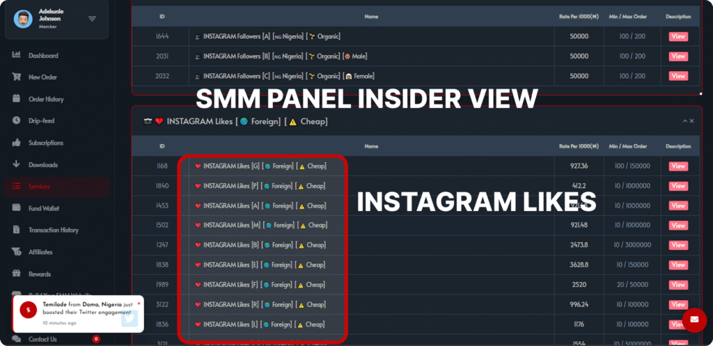 Sizzle Social SMM panel insider view showing Instagram Likes Foreign Cheap service options with pricing and order limits