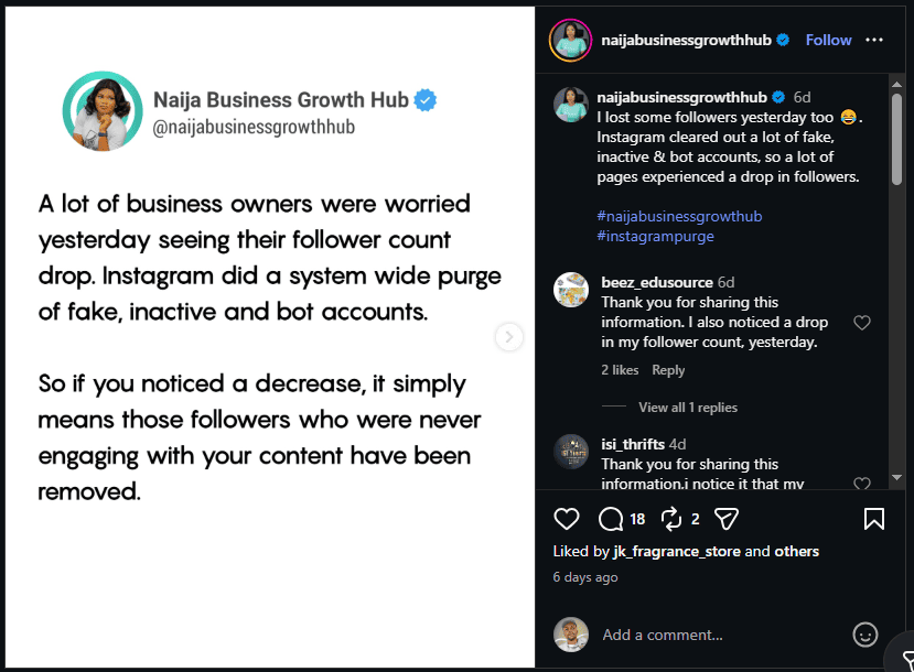 Naija Business Growth Hub tweet about Instagram purging fake, inactive bot accounts causing follower drops, with user replies confirming the loss.