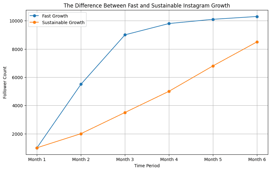 Fast vs sustainable Instagram growth comparison