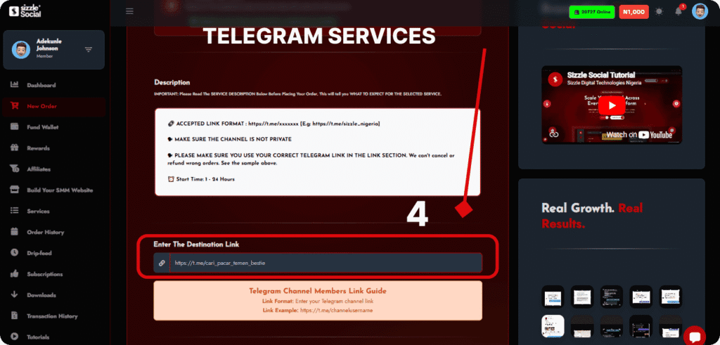 Telegram services order screen showing accepted link format