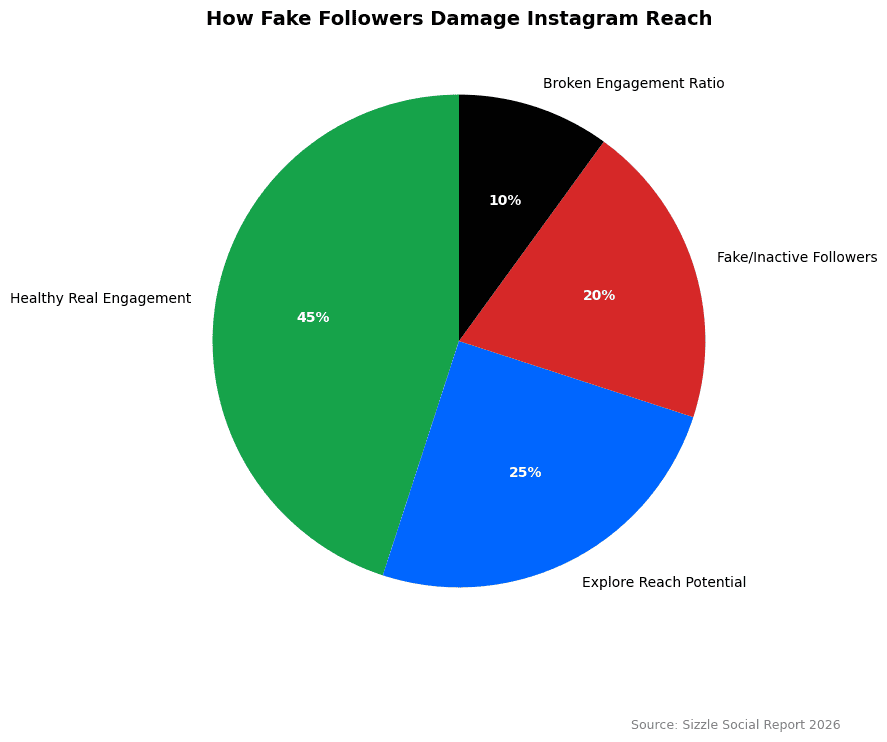 Pie chart breakdown: Healthy Real Engagement 45%, Explore Reach Potential 25%, Fake/Inactive Followers 20%, Broken Engagement Ratio 10%.