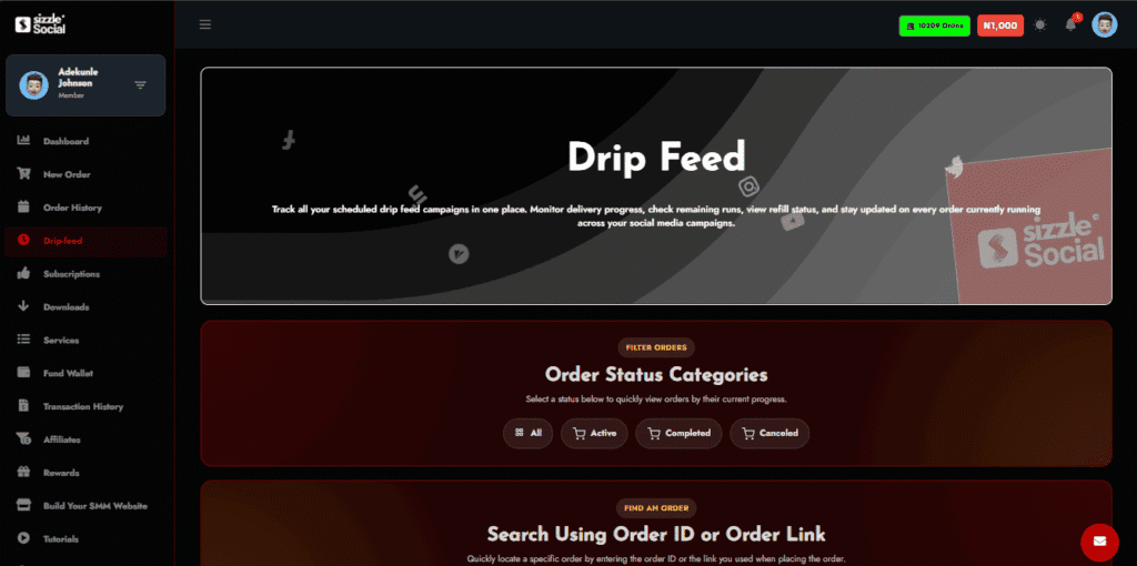Drip Feed management interface with filters (All, Active, Completed, Canceled) and a search bar to find orders by ID or link.