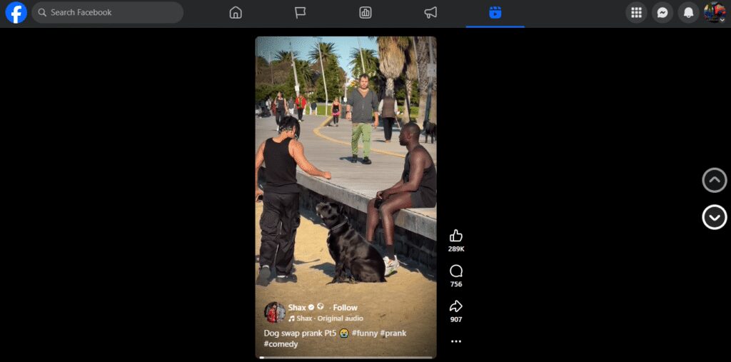 Facebook post by Shax featuring a "Dog swap prank Pt5" with 289K reactions, 756 comments, and 907 shares, plus audio and hashtags #funny #prank #comedy.