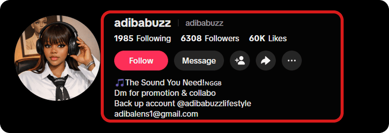Instagram profile of adibabuzz showing 1,985 following, 6,308 followers, 60K likes, bio: "The Sound You Need! NGGB Dm for promotion & collabo Back up account @adibabuzzlifestyle adibalens1@gmail.com".