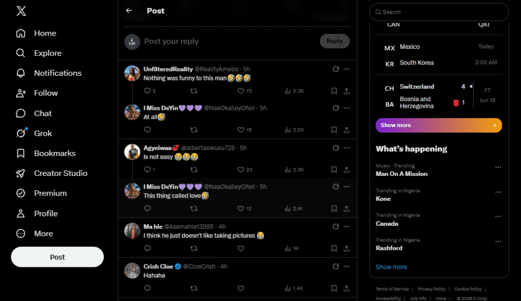 cheap Twitter replies panel Nigeria