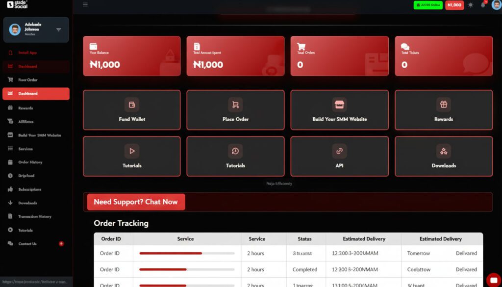 TikTok booster Nigeria dashboard tracking