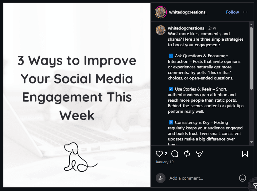 Nigerian influencer tracking engagement signals