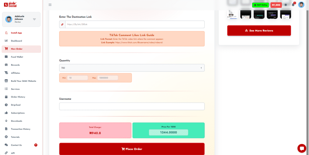 Order form for TikTok Comment Likes with destination link field