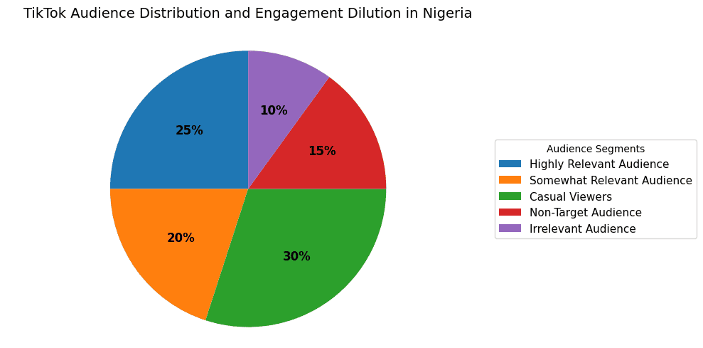 TikTok audience too broad Nigeria