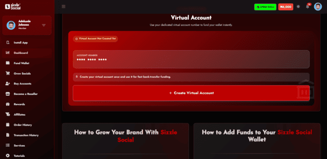Dashboard screenshot of SMM panel |