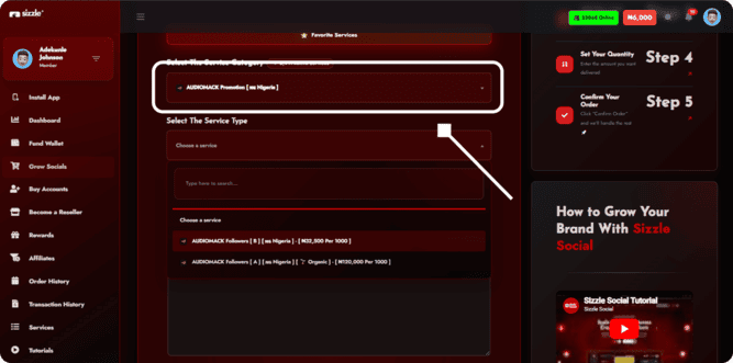 Artist selecting package options