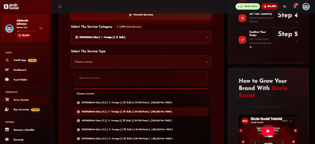 Screenshot of service selection dashboard.