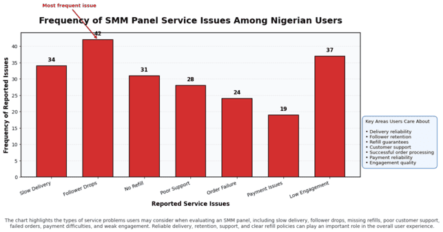 Service delivery support factors in SMM panels