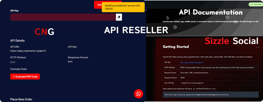 Reseller features Nigeria SMM panels.