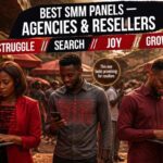 Nigerian reseller agency using SMM panel with reliable API and local support