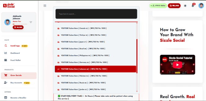 Dashboard showing package options for likes