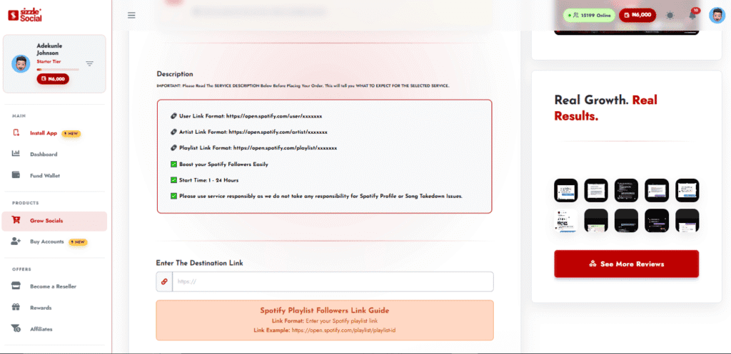 Detailed screen shot of an order submission form with URL input and quantity selection fields.