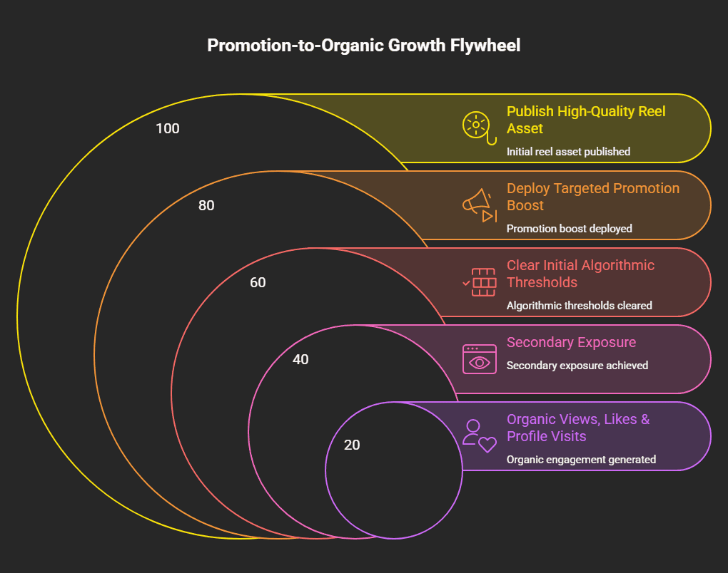 Flywheel diagram showing the stages of turning promoted content into organic growth