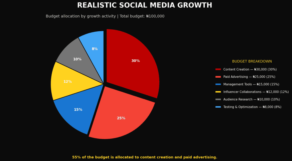 Pie chart showing %age breakdown of a limited social media marketing budget.