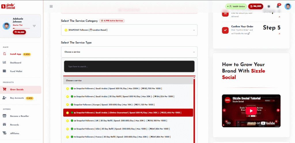 Step-by-step Interface Guide Showing Users How to Choose Snapchat Promotion Services for Accounts